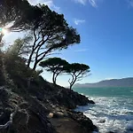 Plage *